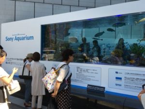 （銀座　懐かし　アーカイブ）　銀座ソニービルに「沖縄美ら海水族館」が登場！　（2016年7月　撮影）