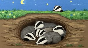 アナグマは人懐っこい？【誤解と真実】野生の性格・生態と安全な接し方